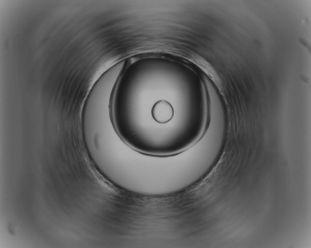 X0000090951242200708301132