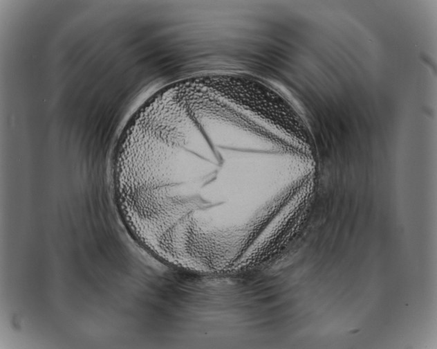 X0000090951243200708301132