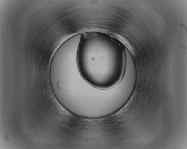 X0000090951244200708301132