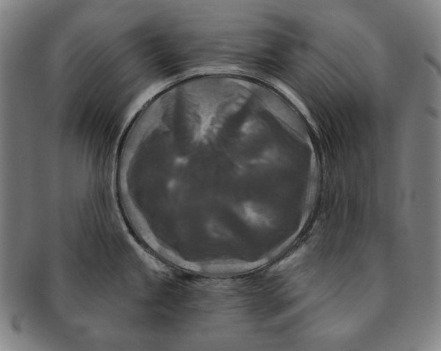 X0000090951245200708301132