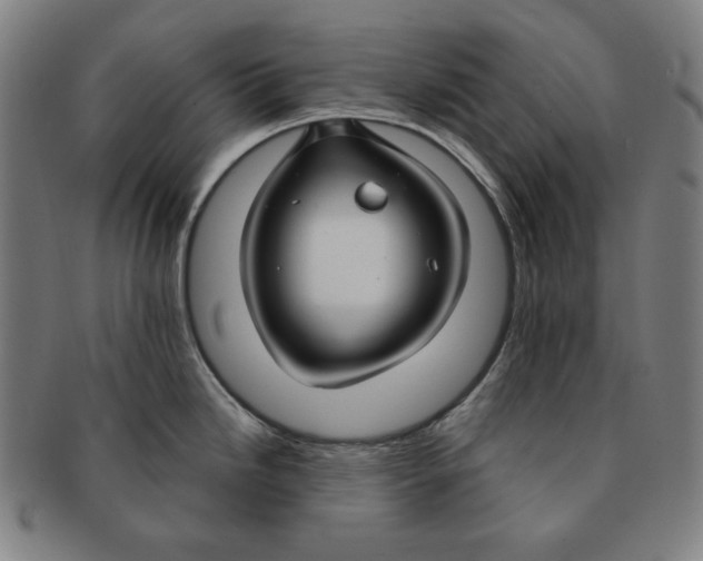 X0000090951246200708301132