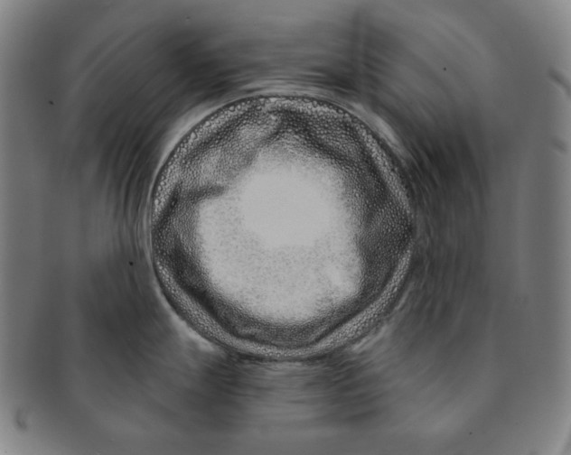 X0000090951247200708301132