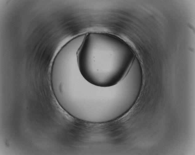 X0000090951248200708301132