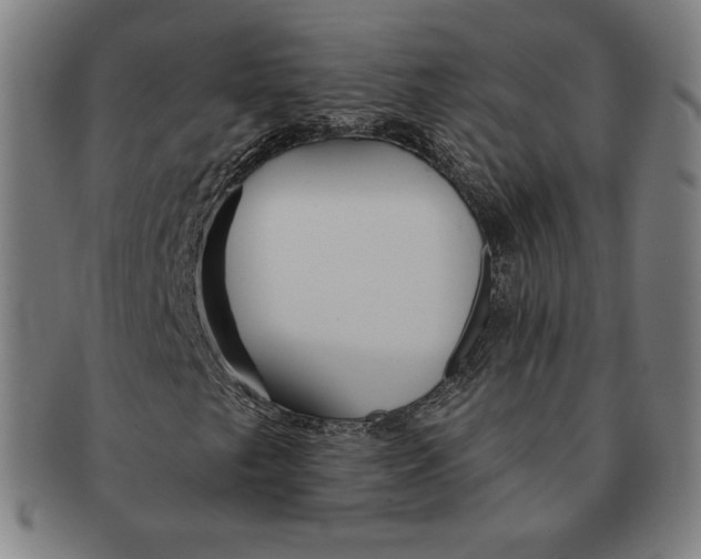 X0000090951249200708301132