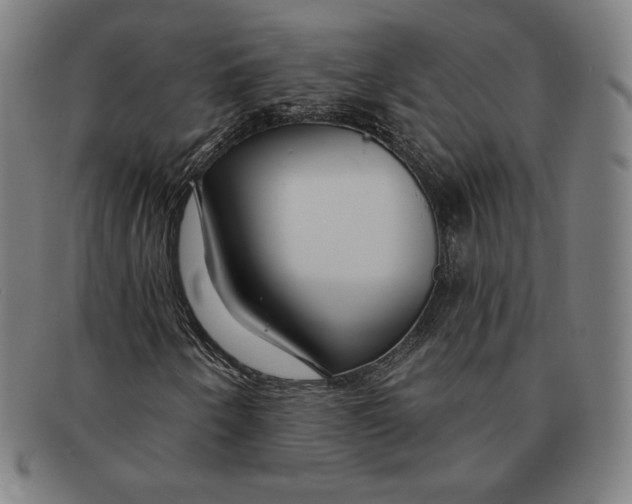 X0000090951250200708301132