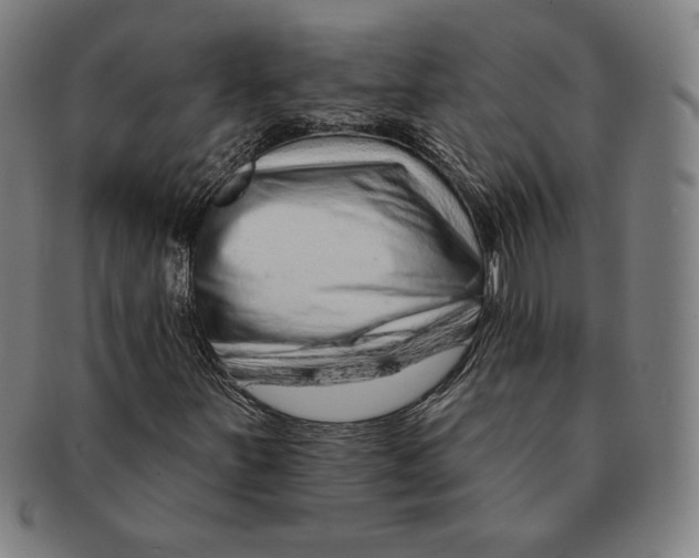 X0000090951251200708301132