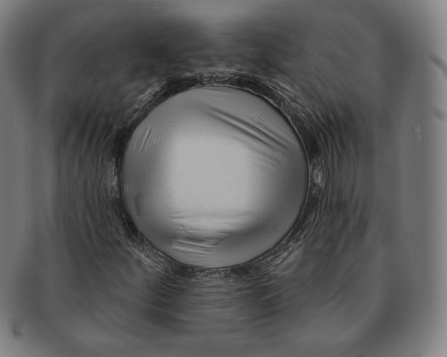 X0000090951252200708301132