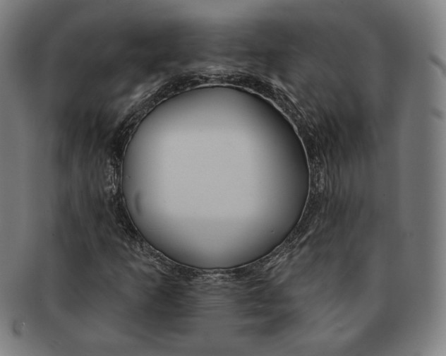 X0000090951253200708301132