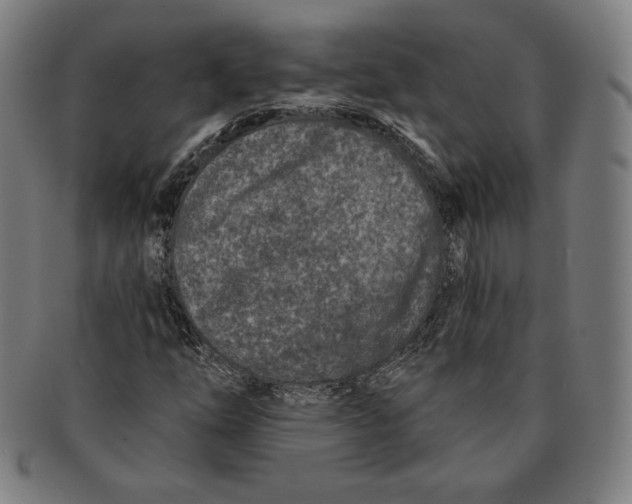 X0000090951254200708301132