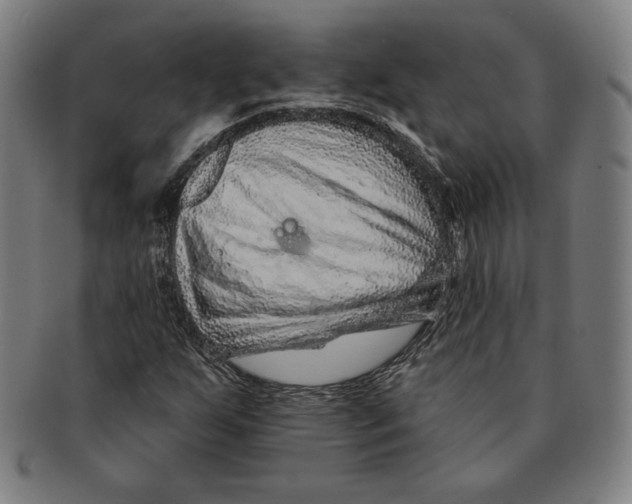 X0000090951255200708301132