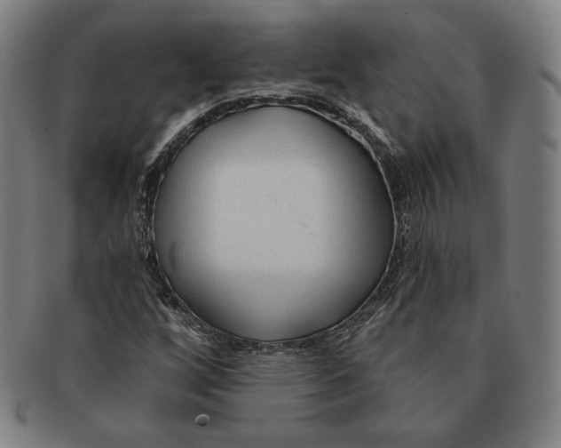 X0000090951256200708301132