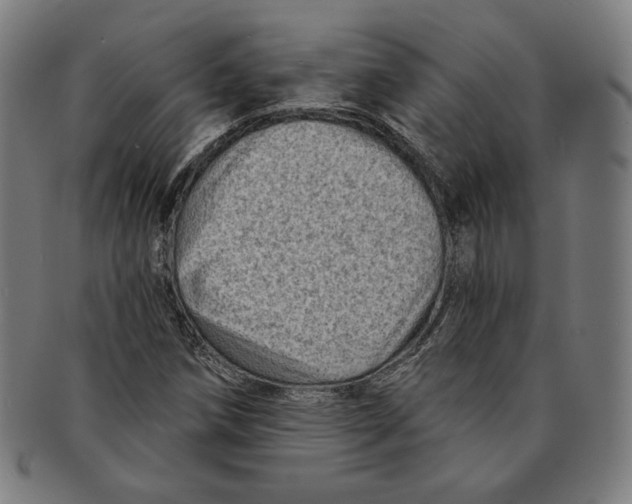 X0000090951258200708301132