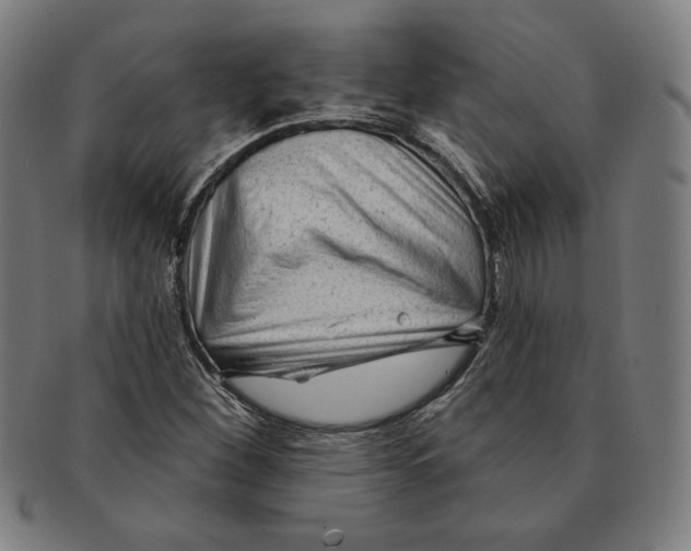 X0000090951260200708301131