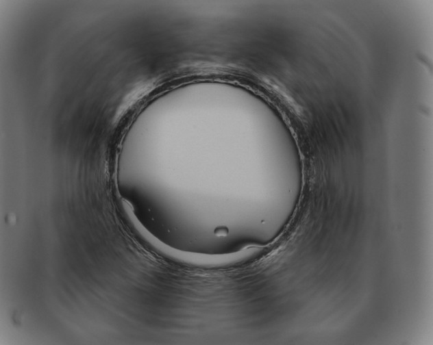 X0000090951261200708301131
