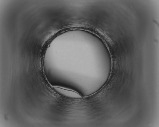 X0000090951262200708301131