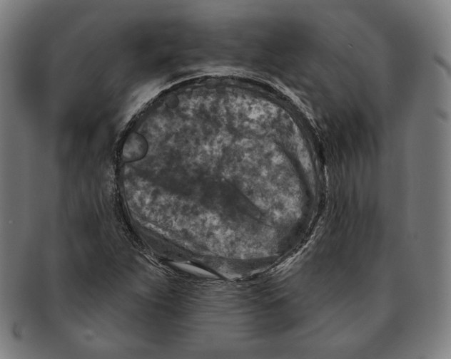 X0000090951263200708301131