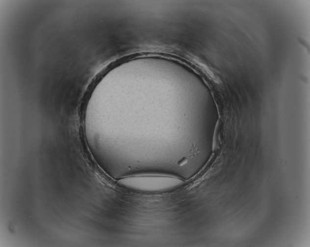 X0000090951264200708301131