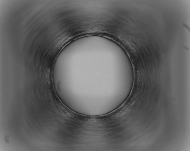 X0000090951265200708301131