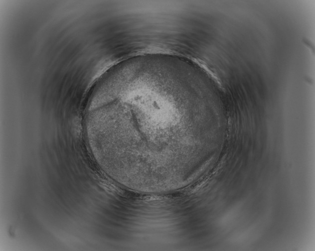 X0000090951266200708301131