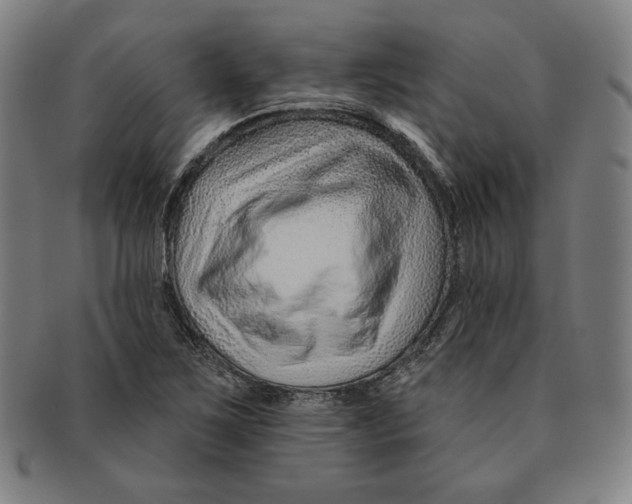 X0000090951267200708301131