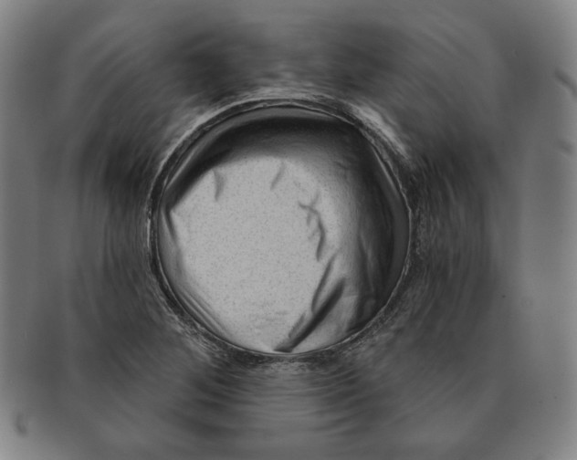 X0000090951268200708301131