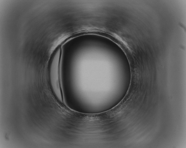 X0000090951269200708301131