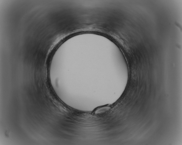 X0000090951270200708301131