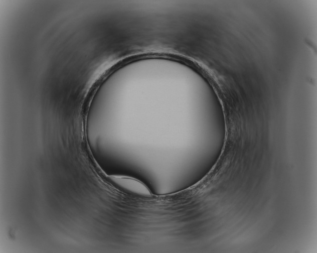 X0000090951271200708301131