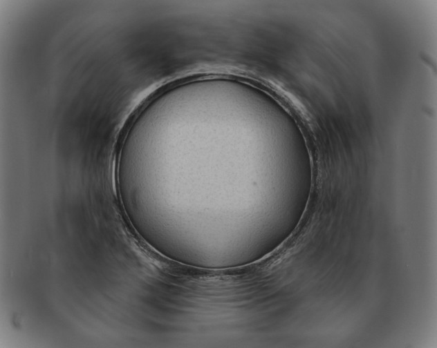 X0000090951272200708301131
