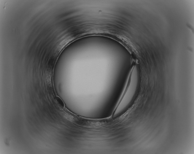 X0000090951273200708301131