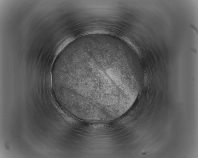 X0000090951274200708301131