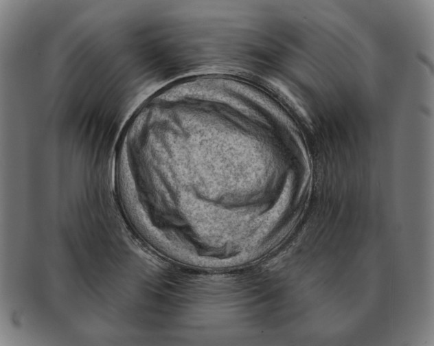 X0000090951276200708301131