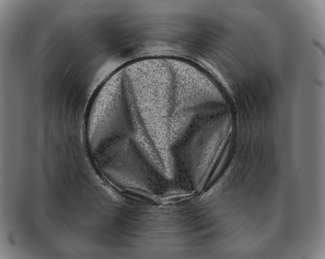 X0000090951277200708301131