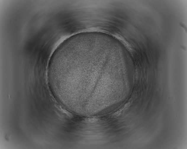 X0000090951278200708301131