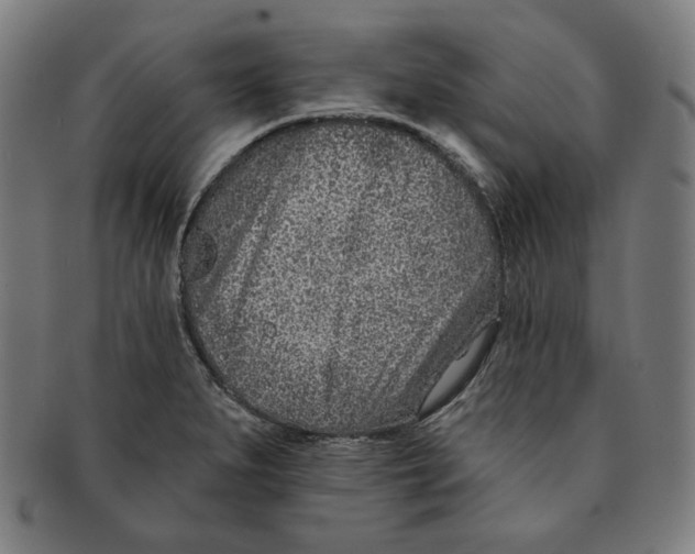 X0000090951279200708301131