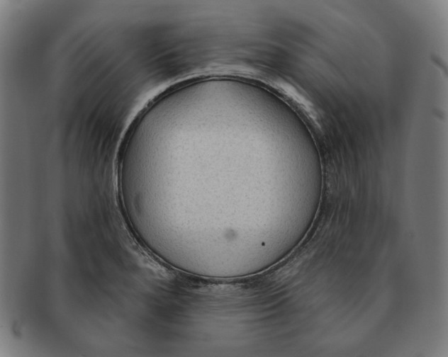 X0000090951280200708301131