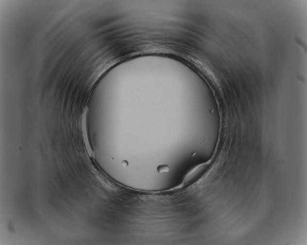 X0000090951281200708301131