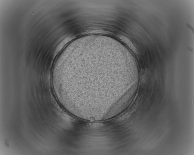 X0000090951282200708301131