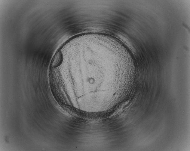 X0000090951283200708301131