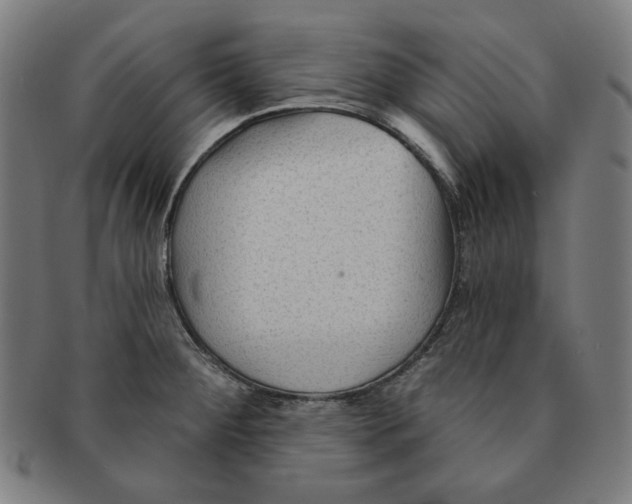 X0000090951284200708301131