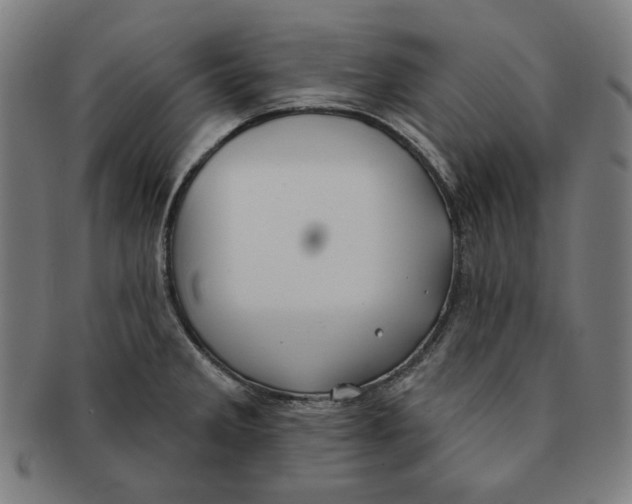 X0000090951285200708301131