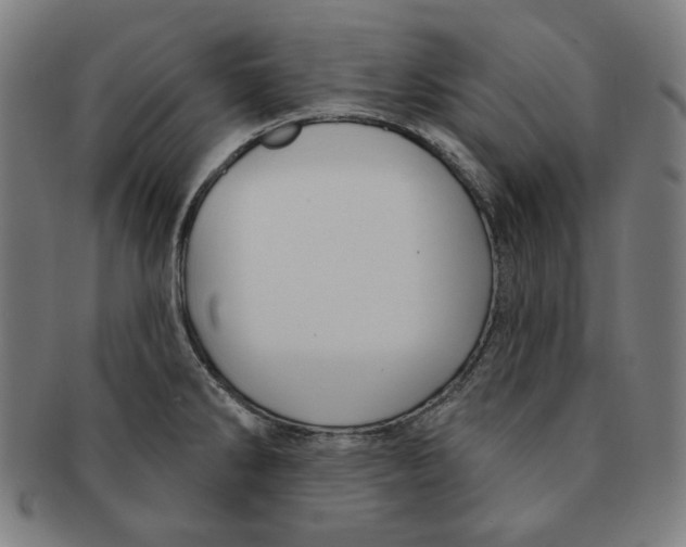 X0000090951286200708301131