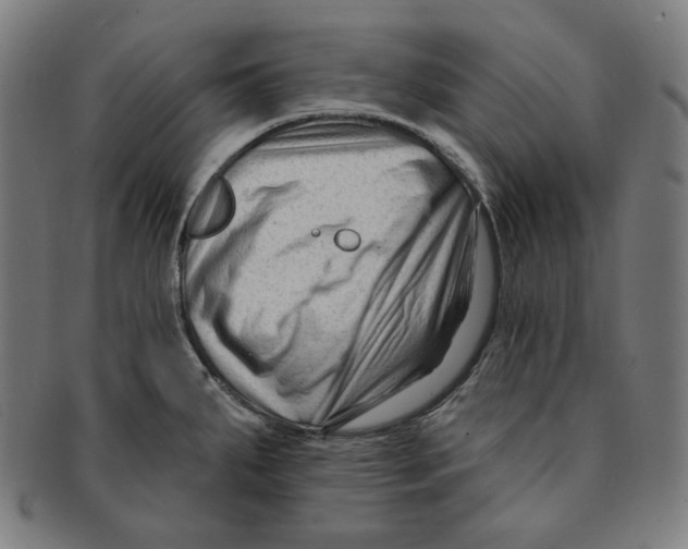 X0000090951287200708301131