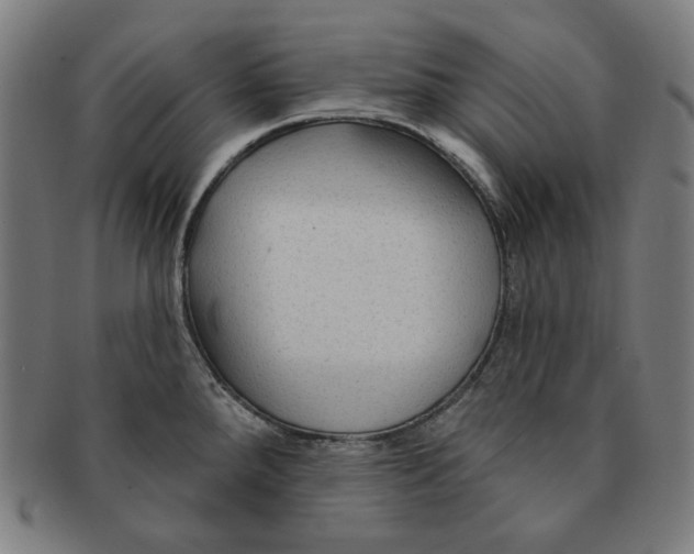 X0000090951288200708301131