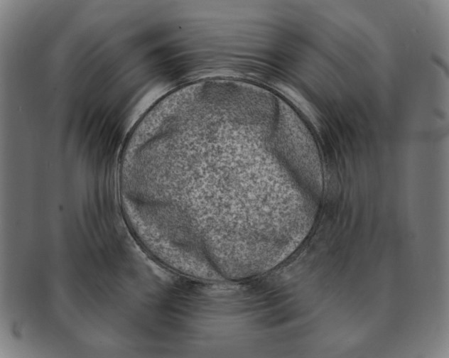X0000090951290200708301131