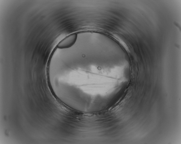 X0000090951291200708301131