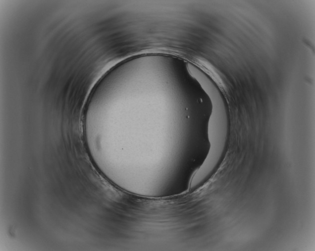 X0000090951292200708301131