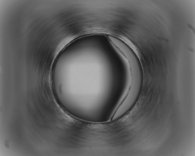 X0000090951293200708301131