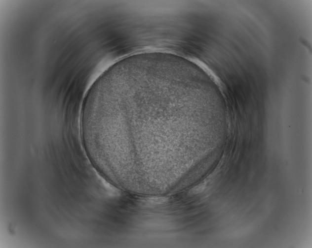 X0000090951294200708301131