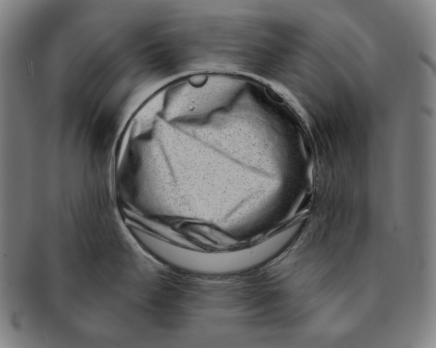 X0000090951295200708301131